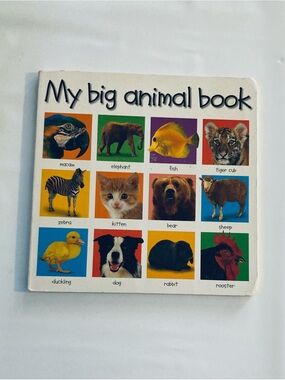 My Big Animal Book (My Big Board Books)